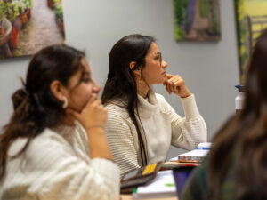 Dutch Course B1.2 | Semi-intensive